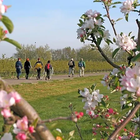 Lesroses1680 Bed and breakfast Blainville-sur-Mer
