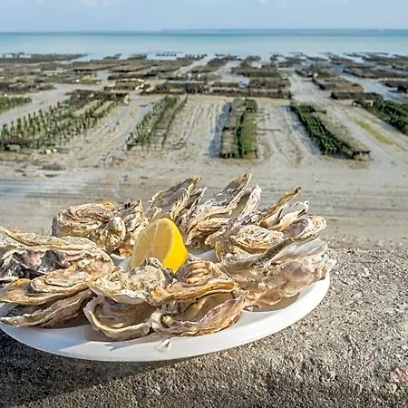 Lesroses1680 Blainville-sur-Mer
